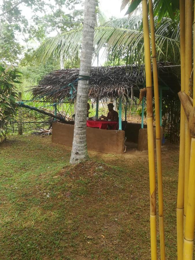 Bamboo Home Stay Hiriketiya ディックウェラ エクステリア 写真