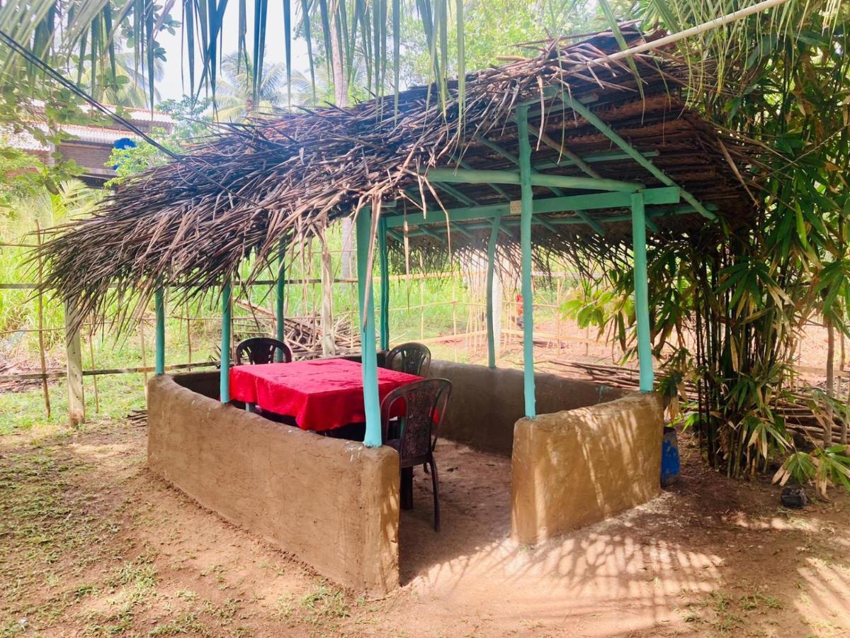 Bamboo Home Stay Hiriketiya ディックウェラ エクステリア 写真