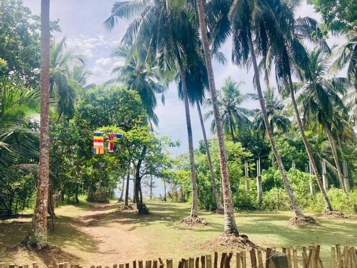 Bamboo Home Stay Hiriketiya ディックウェラ エクステリア 写真