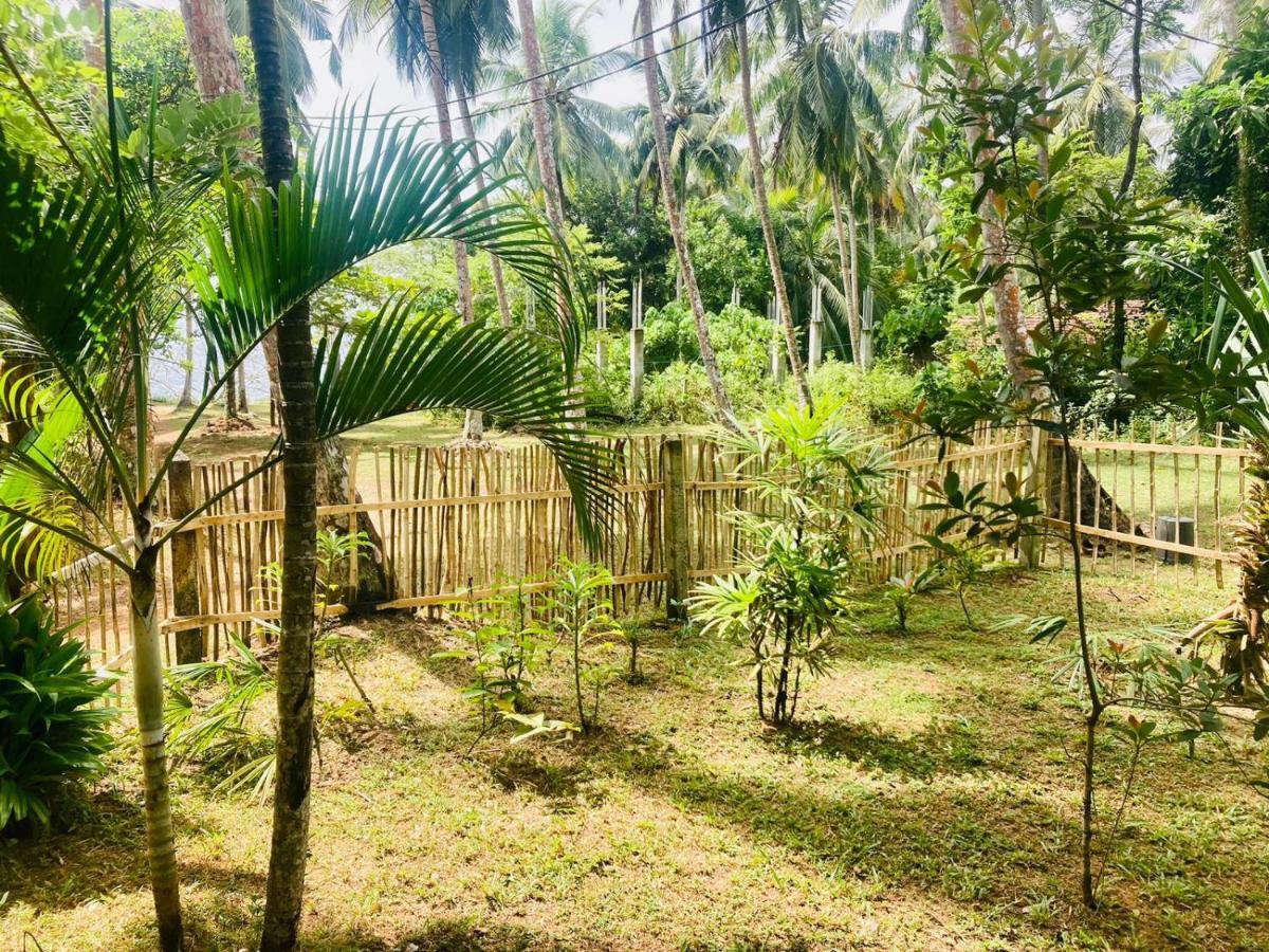 Bamboo Home Stay Hiriketiya ディックウェラ エクステリア 写真