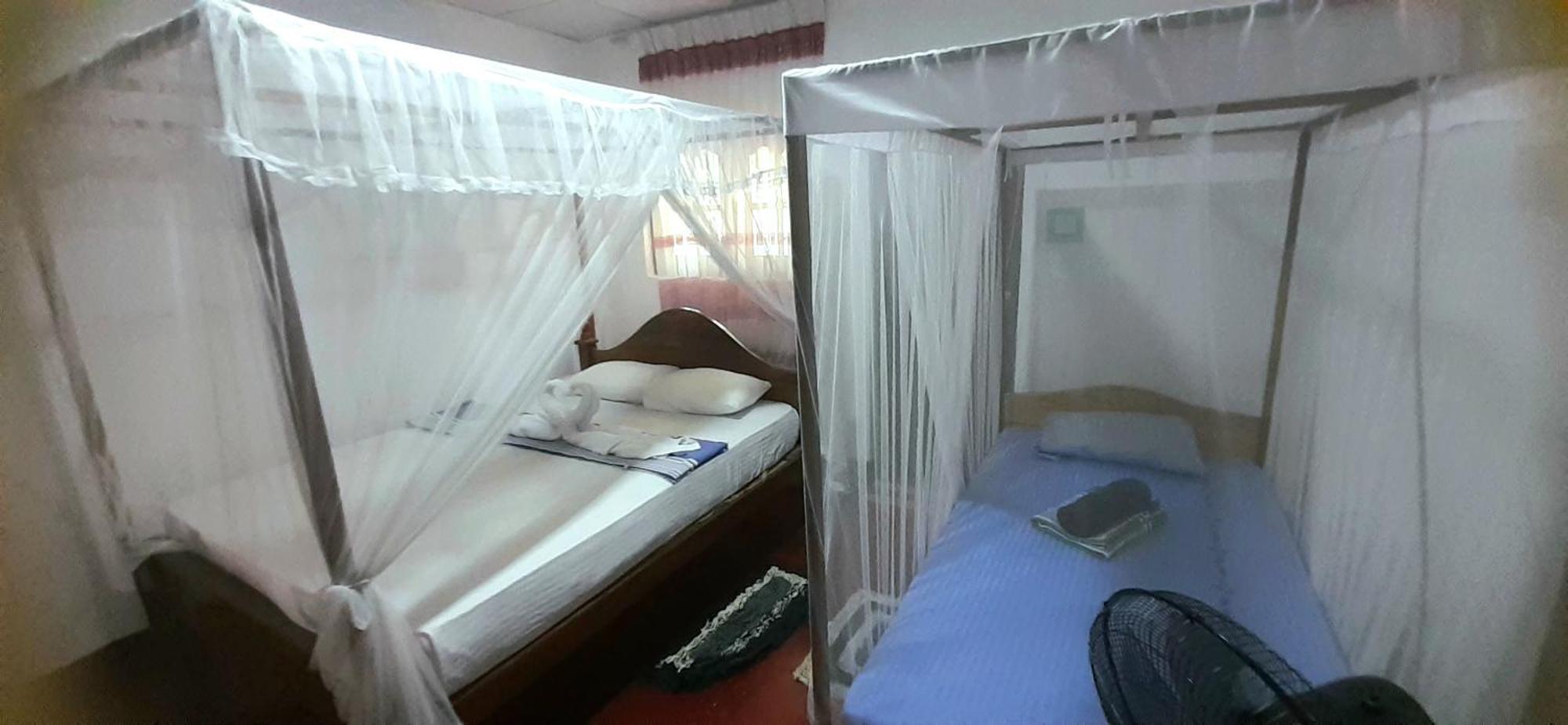 Bamboo Home Stay Hiriketiya ディックウェラ エクステリア 写真