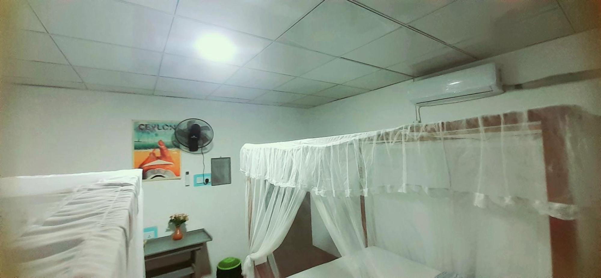 Bamboo Home Stay Hiriketiya ディックウェラ エクステリア 写真