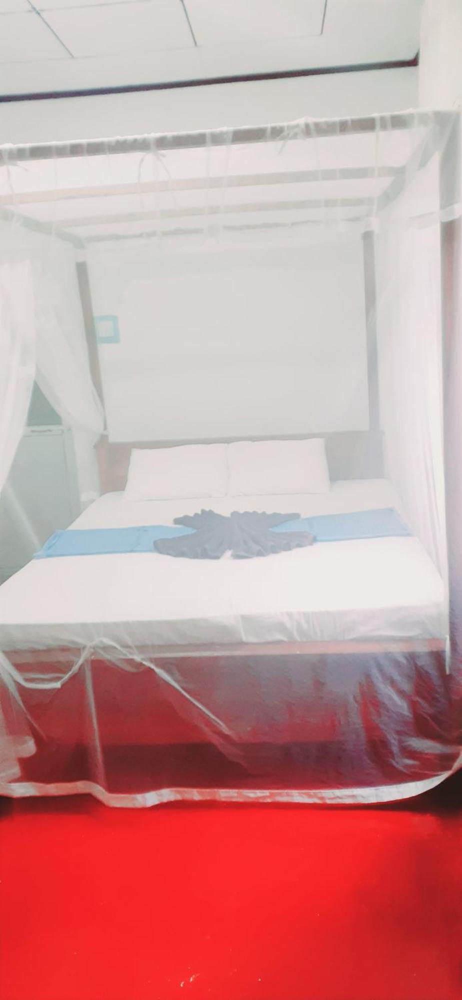 Bamboo Home Stay Hiriketiya ディックウェラ 部屋 写真